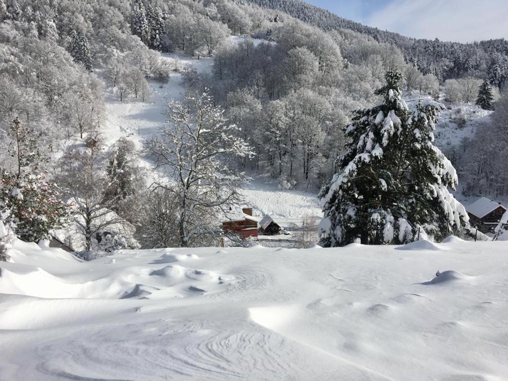 Gite De La Grande Verrerie 6 Personnes Ribeauville エクステリア 写真